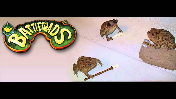 Battletoads & Double Dragon - Roper (Stage 3) REMIX