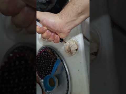 شربت فرگلوبین شرکت ویتابیوتیکس آهن و بکمپلکس ب۱۲ برای خون سازی و باز شدن اشتها عالیه