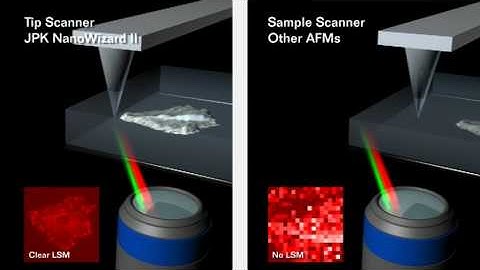 Atomic Force Microscopy - JPK NanoWizard® AFM - tip scanner vs. sample scanner