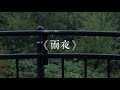 刘森 华北浪革 雨夜 新版 刘森 华北浪革 雨夜 新版
