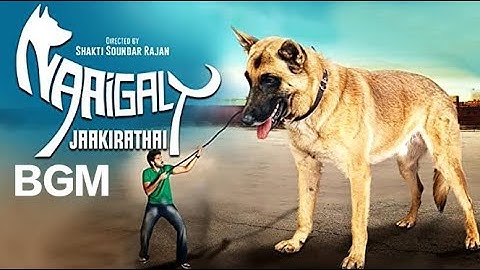 Naaigal Jaakirathai BGM || OST || EPIC BGM WORLD