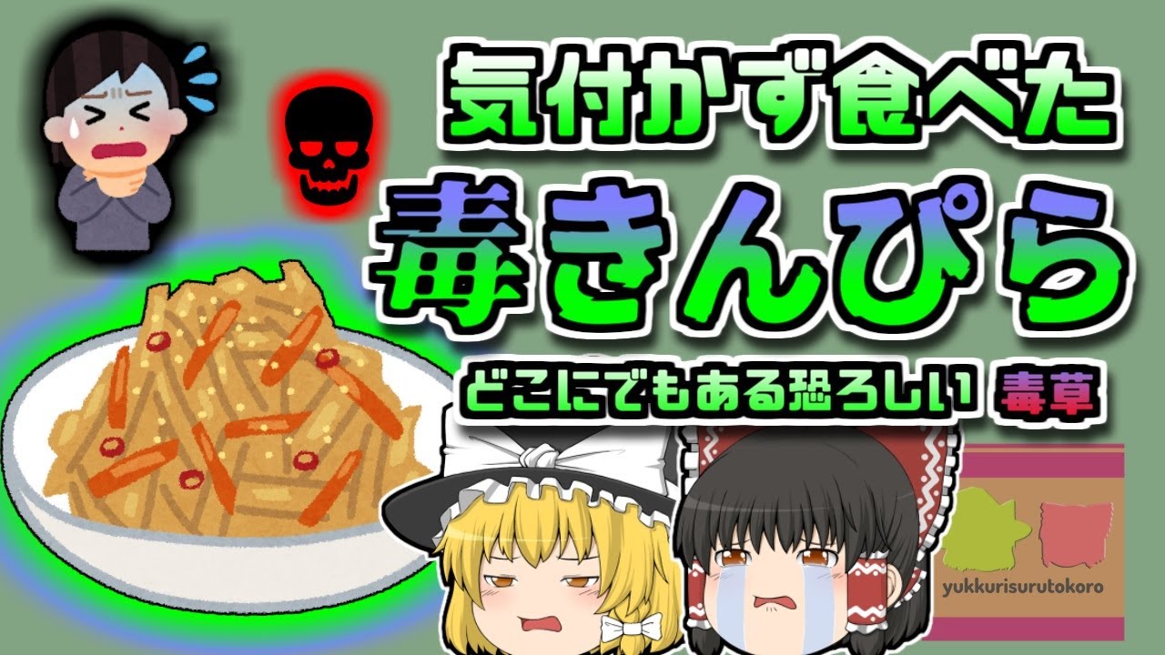 【2008年兵庫】夫婦で食べた「きんぴらごぼう」 実は毒草の根だった【ゆっくり解説】