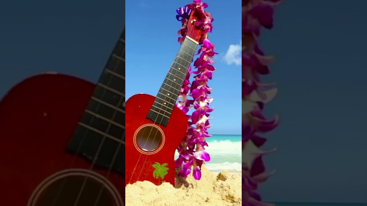 YouTubeでTropical Beach- Relaxing Music for Sleep, Healing, Concentration, Work, Study #relaxingmusic #shortsを視聴 YouTubeでTropical Beach- Relaxing Music for Sleep, Healing, Concentration, Work, Study #relaxingmusic #shortsを視聴