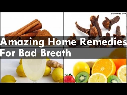 Natural Home Remedies For Bad Dog Breath Natural Home Remedies For Bad Dog Breath