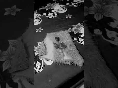 ترتيب السرير