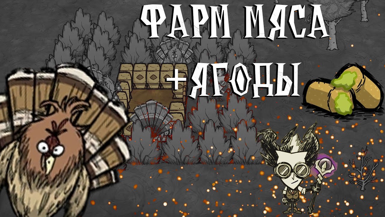 Обновление дст. Мясная бита don't Starve. Don't Starve together Жужа. Пасека донт старв тугезер. Фермы ДСТ.