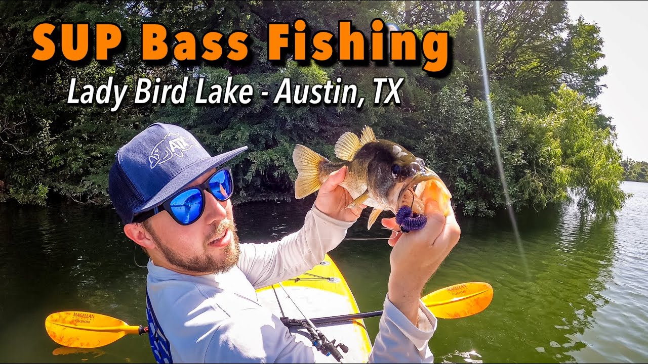 First SUP Bass! Fishing Lady Bird Lake in Austin, TX (Festival Beach) YouTube