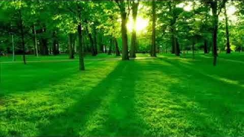 تلاوة خاشعة للقارئ اسلام صبحي من  سوره طه