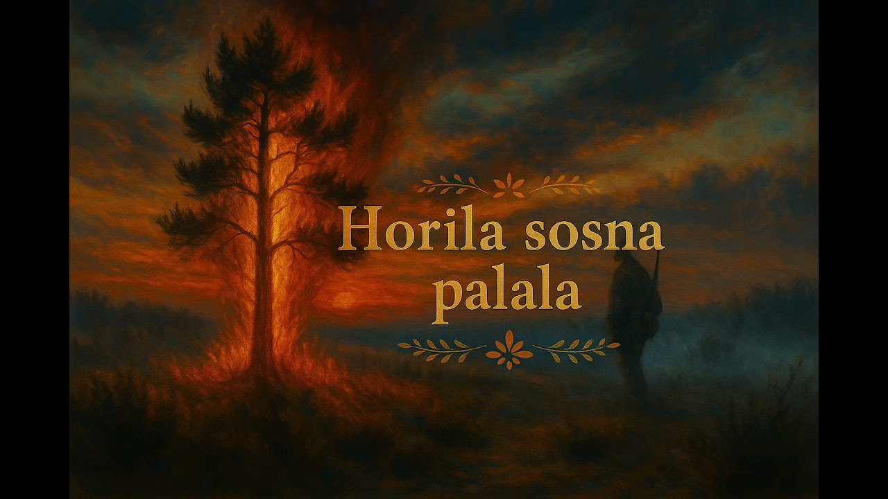 Horila sosna, palala - AIprodukcia.sk