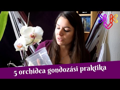 Videó: Epidendrum orchideák termesztése – Hogyan ápoljuk az epidendrumokat