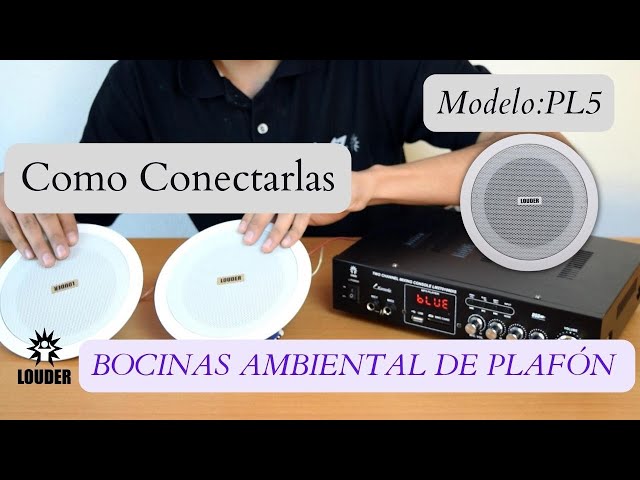 Amplificador Sonido Ambiental Más 2 Parlante De Techo