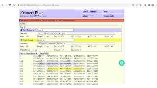Primer3Plus et design d'amorces en PCR