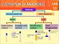 Anaerobic culture gaspak methodlab 11