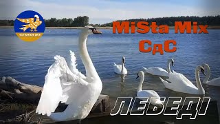 Сєвєродонецьк. "Лебеді" (MiSta Mix / СдС)