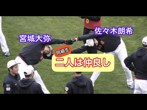 【侍ジャパン】突然ストレッチを始める宮城&朗希/宮崎キャンプ