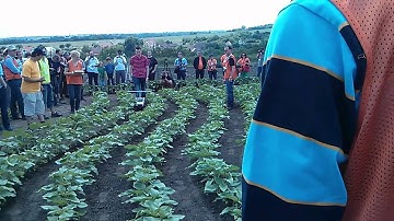 Field Robot Event 2013 - Team Phaethon of the University of Siegen - Task 1