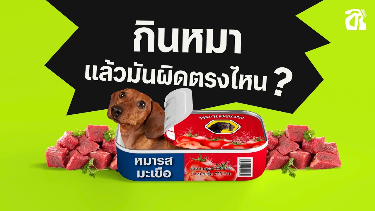 เนื้อสวรรค์ รสชาติเป็นยังไง? | alien by norm [TH/EN SUB]