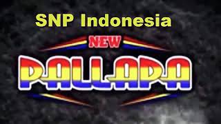 NEW PALLAPA TERBARU MEI 2019 LIVE #pallapa #SNP INDONESIA, #DANGDUT TERBARU, #THE BEST DANGDUT, #JYL