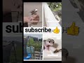 #funny #memes comedy #funny