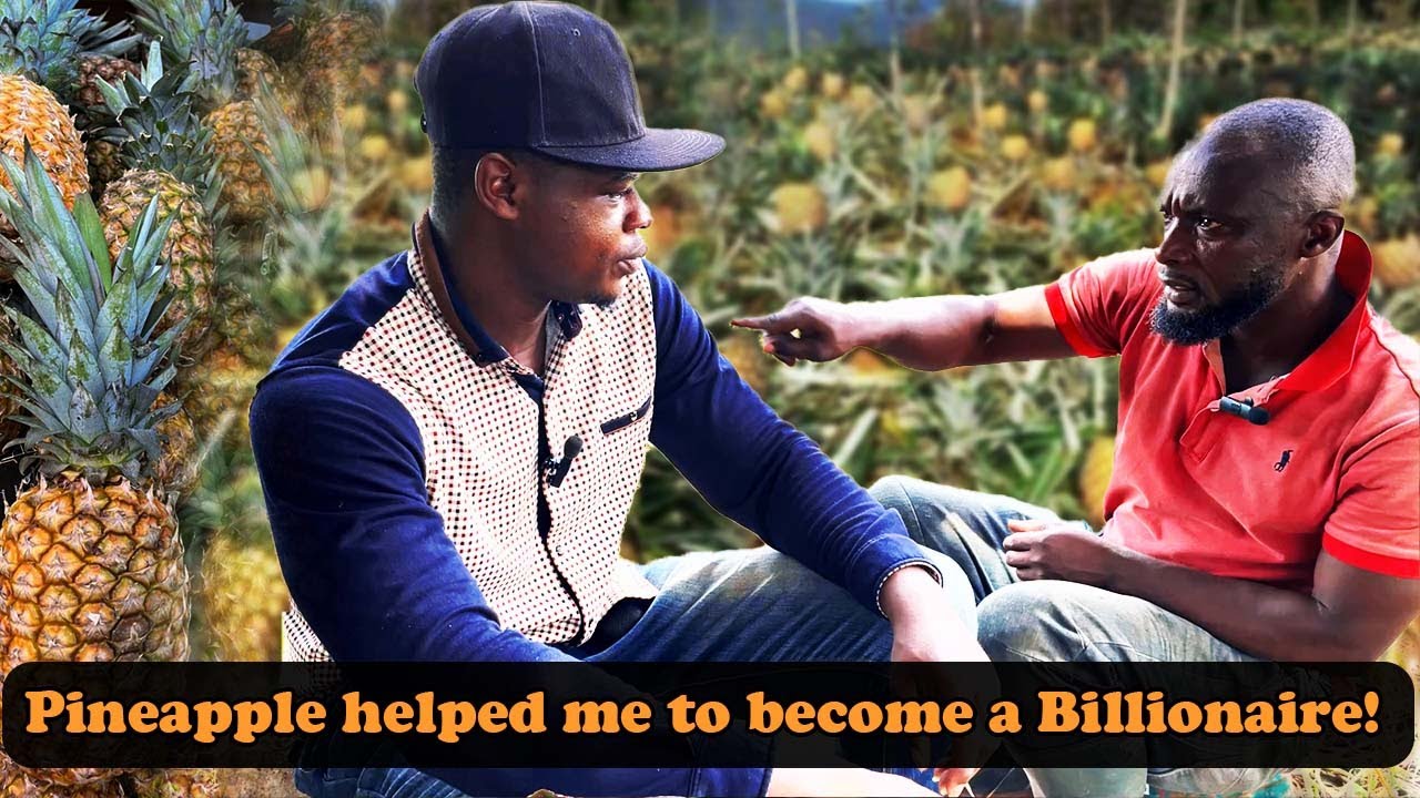 How Pineapple Farming Changes Lives in Ghana 🇬🇭.. !! 😱