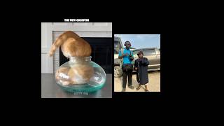 Great Vibes  trending funny theothersideofmakebelieve