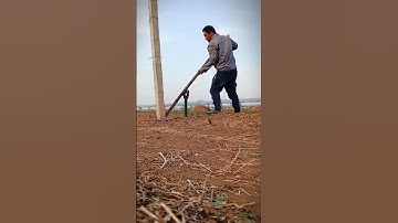 unique tool for removing cement poles #shorts