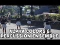 Alpha Colors & Percussion Ensemble | Can't Help Falling in Love | Elvis Presley