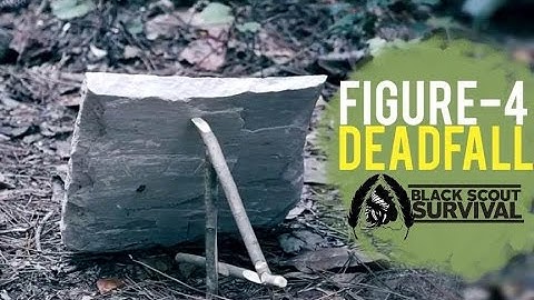 SURVIVAL TECHNIQUES: Figure Four DeadFall