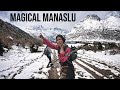 Manaslu circuit trek travel film  larke la pass trail 4k  manaslu larkepass nepal himalayas