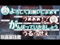 【音量注意/後夜祭】杏戸ゆげの声量に葛葉発狂【葛葉／杏戸ゆげ】