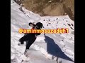 رقص دختر شمالی محشره 