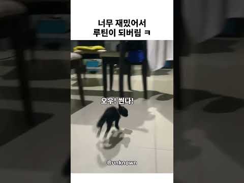 너무 재밌어서 루틴이 되버림ㅋ thumbnail