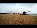 Harvester RSM-161 Кубань в Липецке часть 5