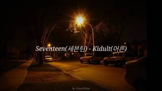 Seventeen (세븐틴) - Kidult (어른) Han/Eng Aesthetic lyrics