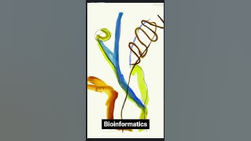 What is bioinformatics| The Power of Bioinformatics in Modern Science TODAY