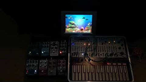 Buchla Music Easel Exploration