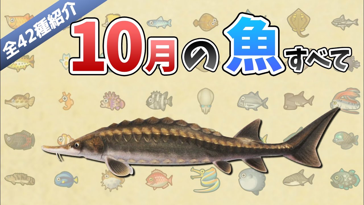 ランキング 値段 あつ 森魚