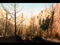 The smith rock fire  the day after
