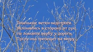 Чистота. Слова иеромонаха Романа, музыка Ирины Скорик. Исполняет Ирина Скорик