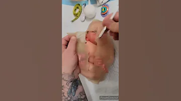 Womb How Babies Are Born 