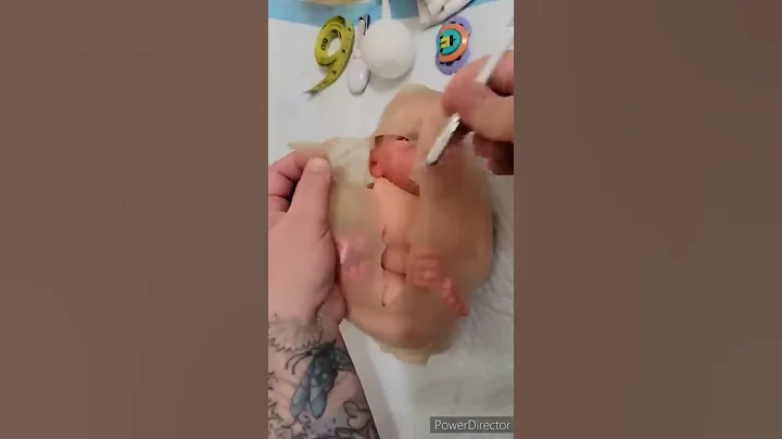 Womb - How Babies Are Born