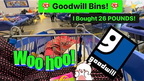 Let’s Shop The GOODWILL Bins! Come Thrift With Me! Digging At The Goodwill Outlet For Resale! +HAUL
