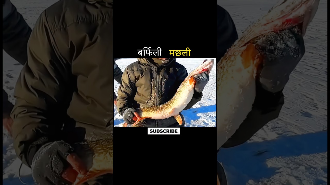 बर्फिली मछली 😱 #aivideo #facts #youtubeshorts #fishing #shortsfeed #amazingfacts #aivideo