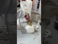 Не знаете как хранить муку?