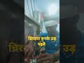 Mintu raaj new chiraya banke uda gaile