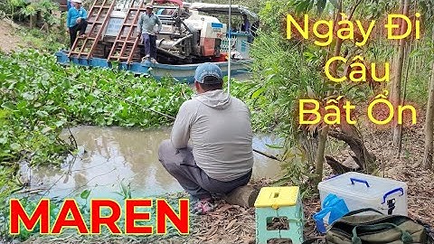 Câu cá Rô, cá trê, cá thác lác.Ngày đi câu BẤT ỔN nhưng mà vui.