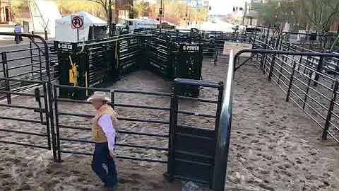 Dr. Ron Gill | Live Cattle Handling Demo at the NCBA