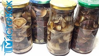 Заготовка грибов | Заготівля грибів | Mushroom harvesting