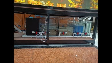 Arm รุ่งฟ้า Sea Food - แก้ไขงานระบบ Overflow เป็น All Services + ล้าง 100 ตู้ปลามังกรเลี้ยงรวม Set 3