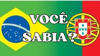 Sim Brasileiros Podem Votar Nas Eleições Em Portugal